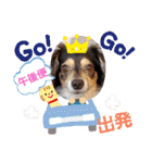 Kojiromaru＆Jubee 4（個別スタンプ：2）