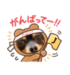 Kojiromaru＆Jubee 4（個別スタンプ：6）