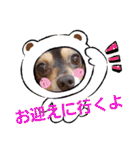 Kojiromaru＆Jubee 4（個別スタンプ：8）