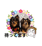 Kojiromaru＆Jubee 4（個別スタンプ：10）