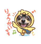 Kojiromaru＆Jubee 4（個別スタンプ：16）