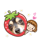 Kojiromaru＆Jubee 4（個別スタンプ：17）