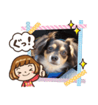 Kojiromaru＆Jubee 4（個別スタンプ：21）