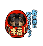 Kojiromaru＆Jubee 4（個別スタンプ：32）