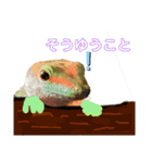 ほんとんどヤモリスタンプ（個別スタンプ：13）