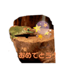 ほんとんどヤモリスタンプ（個別スタンプ：15）