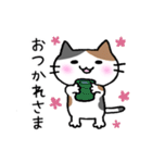 みけ猫ちゃん【毎日使いやすい❤️】（個別スタンプ：3）