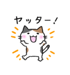 みけ猫ちゃん【毎日使いやすい❤️】（個別スタンプ：15）