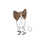 猛犬モモちゃんvol.2（個別スタンプ：1）