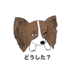 猛犬モモちゃんvol.2（個別スタンプ：3）