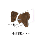 猛犬モモちゃんvol.2（個別スタンプ：6）
