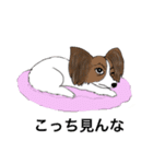 猛犬モモちゃんvol.2（個別スタンプ：11）