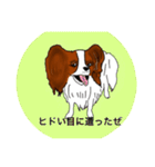 猛犬モモちゃんvol.2（個別スタンプ：14）