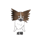 猛犬モモちゃんvol.2（個別スタンプ：15）