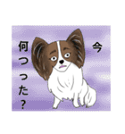 猛犬モモちゃんvol.2（個別スタンプ：17）