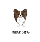 猛犬モモちゃんvol.2（個別スタンプ：18）