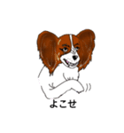 猛犬モモちゃんvol.2（個別スタンプ：24）