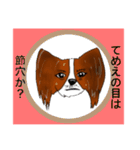 猛犬モモちゃんvol.2（個別スタンプ：28）