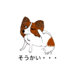 猛犬モモちゃんvol.2（個別スタンプ：29）