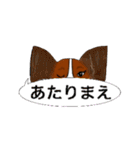 猛犬モモちゃんvol.2（個別スタンプ：32）