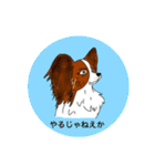 猛犬モモちゃんvol.2（個別スタンプ：34）