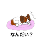 猛犬モモちゃんvol.2（個別スタンプ：36）