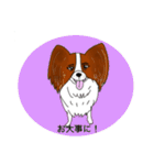 猛犬モモちゃんvol.2（個別スタンプ：39）
