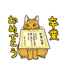 表現豊かな猫達inSpring（個別スタンプ：1）