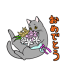 表現豊かな猫達inSpring（個別スタンプ：2）