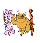 表現豊かな猫達inSpring（個別スタンプ：9）