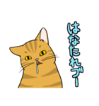 表現豊かな猫達inSpring（個別スタンプ：16）