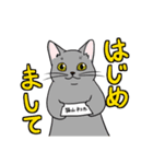 表現豊かな猫達inSpring（個別スタンプ：21）