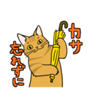 表現豊かな猫達inSpring（個別スタンプ：31）