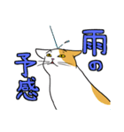 表現豊かな猫達inSpring（個別スタンプ：33）