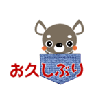 犬好きなあなたへ ちわわ（個別スタンプ：32）