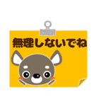 犬好きなあなたへ ちわわ（個別スタンプ：37）