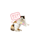 美里音スタンプ（個別スタンプ：4）