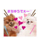 土佐弁♡ポメラニアン♡（個別スタンプ：38）