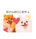 土佐弁♡ポメラニアン♡（個別スタンプ：39）