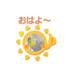 スカイ(ラブ)（個別スタンプ：1）