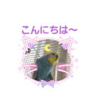 スカイ(ラブ)（個別スタンプ：2）