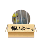 スカイ(ラブ)（個別スタンプ：5）