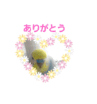スカイ(ラブ)（個別スタンプ：6）