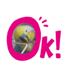 スカイ(ラブ)（個別スタンプ：9）