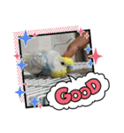 スカイ(ラブ)（個別スタンプ：10）