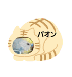 スカイ(ラブ)（個別スタンプ：13）