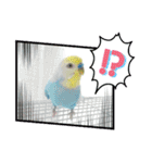 スカイ(ラブ)（個別スタンプ：14）