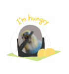 スカイ(ラブ)（個別スタンプ：17）