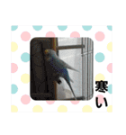 スカイ(ラブ)（個別スタンプ：24）
