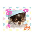 かぼせろぐれ3（個別スタンプ：14）